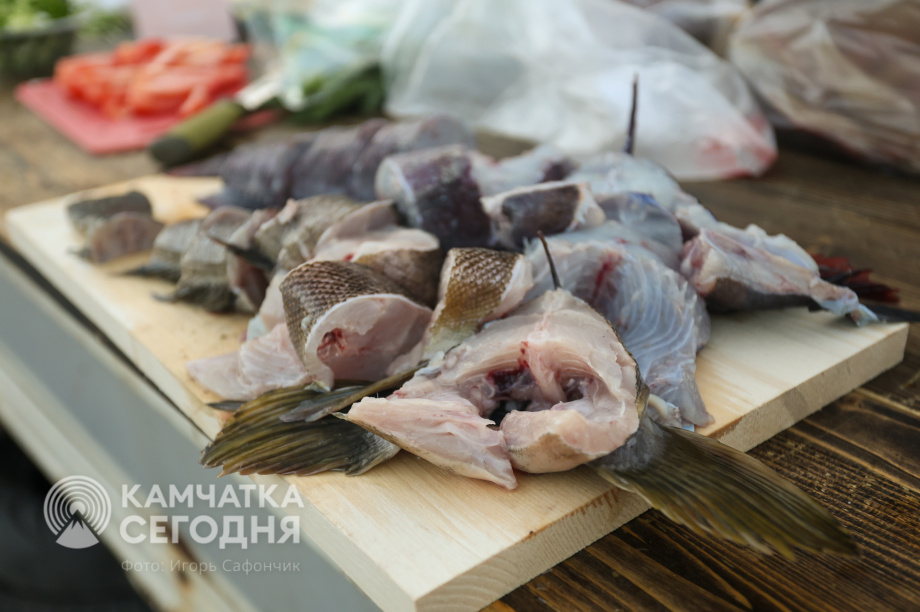 Мотопутешествие словака через всю Россию с остановкой на Камчатке. . Фотография 58