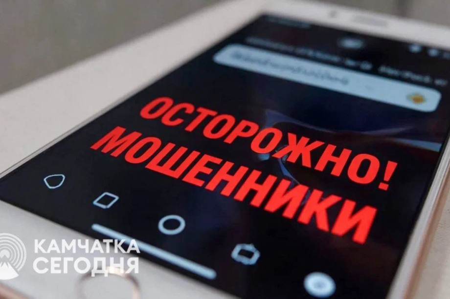 Два жителя Камчатки потеряли более 100 тысяч рублей при покупке автозапчастей в интернете. 