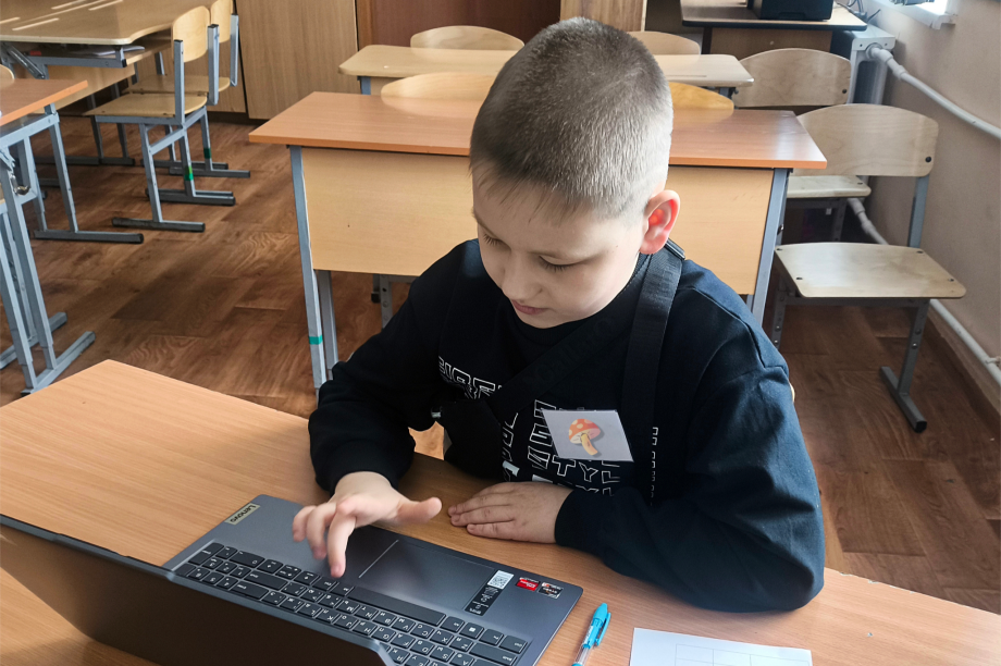 Камчатка стала лидером в ДФО по доле участников олимпиады по финансовой грамотности. Банк России