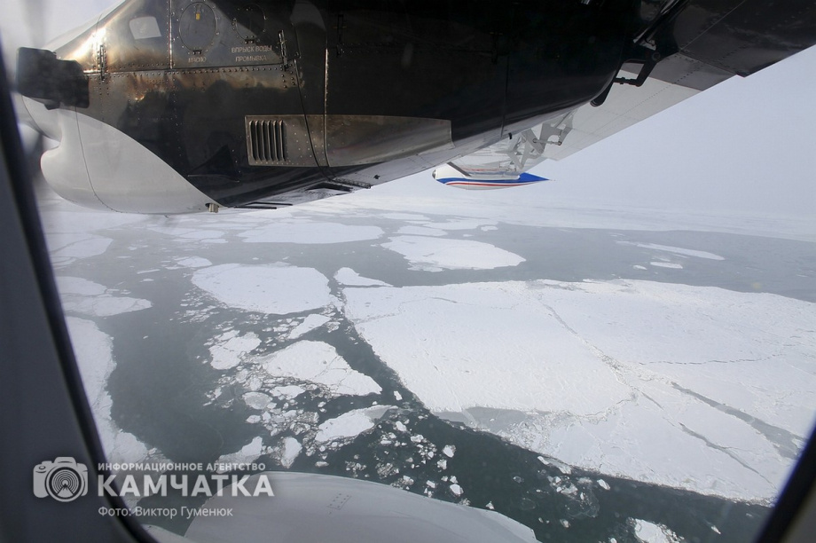 Камчатский край отмечает день работника гражданской авиации России. Фотоподборка. Фото: Виктор Гуменюк. Фотография 28