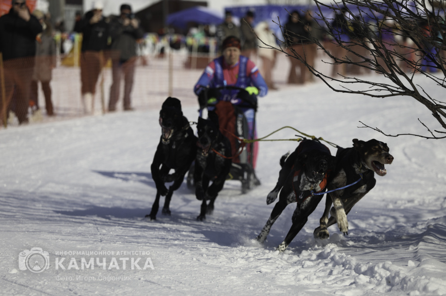 «Елизовский спринт» — 15 лет традиций и азарта!. Фото: «Камчатка Сегодня» \ Игорь Сафончик. Фотография 4
