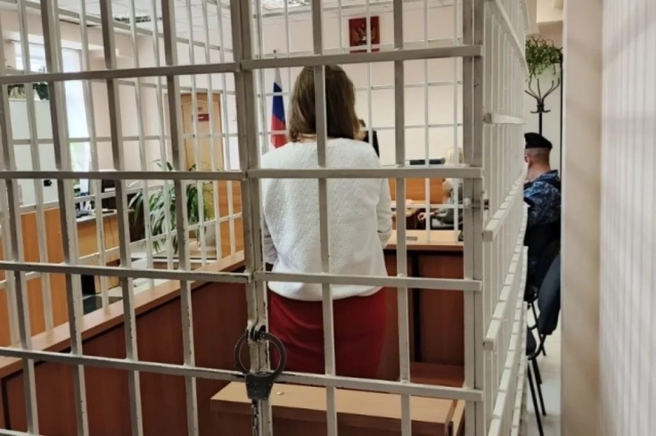 Камчатскую учительницу Росфинмониторинг внес в список террористов и экстремистов . Фото: объединенная пресс-служба судов Камчатского края