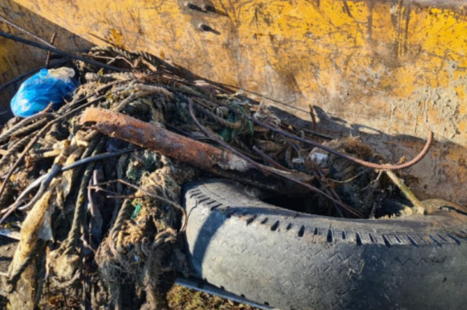 Свалка в Южной Авачинской губе остается проблемой — арбитраж. 