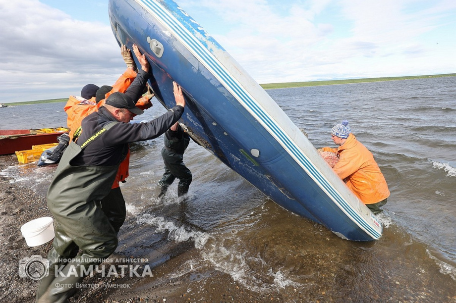Камчатская рыболовецкая артель задолжала 299 работникам 36 миллионов рублей. Фото: Виктор Гуменюк