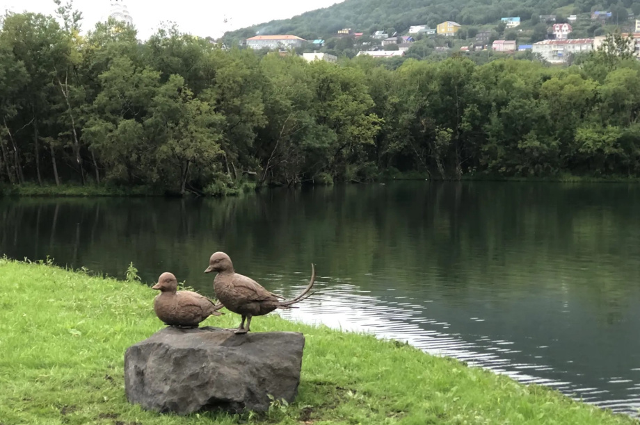 В Петропавловске-Камчатском открылся парк «Экосистема». . Фотография 6