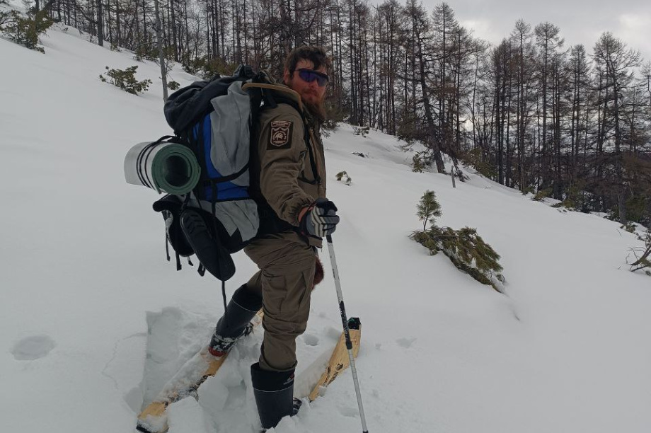 В Кроноцком заповеднике росомах стало больше, а зайцев — в 50 раз меньше. Фото: Дмитрий Балакирев, Евгения Волкова, Дмитрий Западалов. Фотография 2