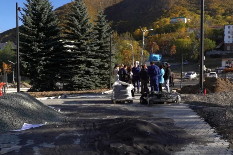 Депутаты Городской Думы следят за благоустройством Петропавловска-Камчатского. фото: Городская Дума ПКГО. Фотография 1