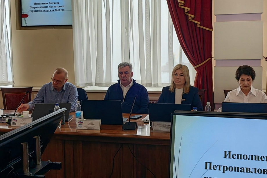Новая налоговая льгота введена для многодетных в Петропавловске-Камчатском. Фото: duma.pkgo.ru. Фотография 4