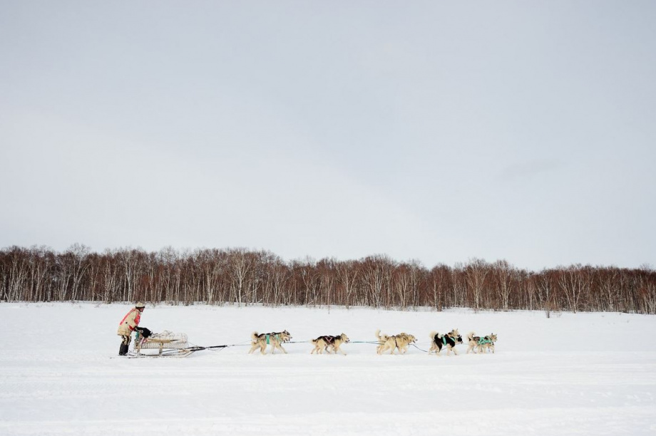 Участники камчатской гонки «Берингия. Авачa» преодолеют более 300 километров. Фото: kamgov.ru