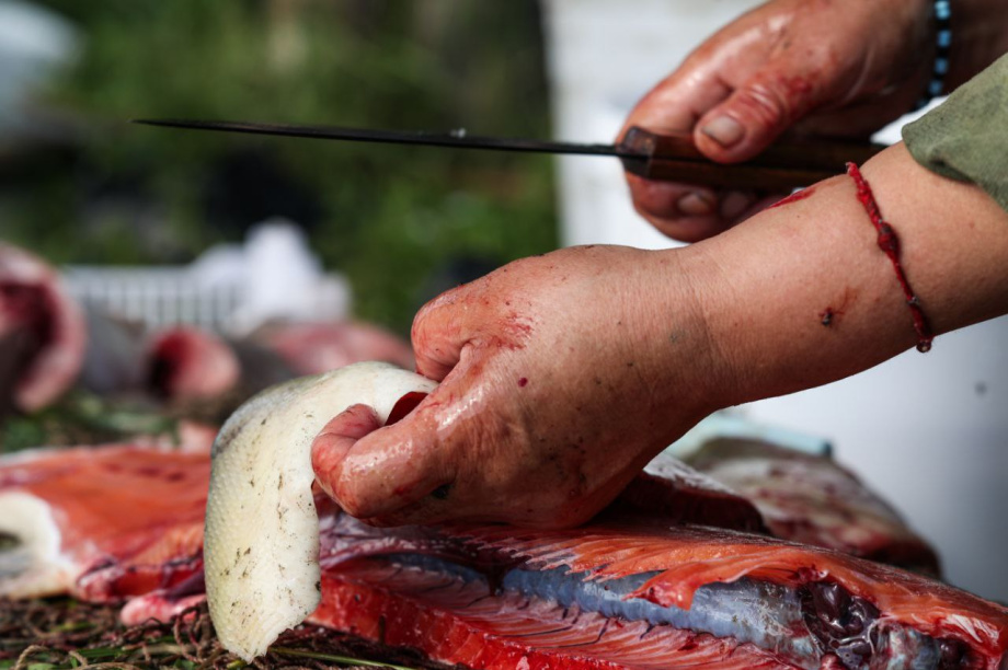 Путешественник из Удомля отправляется в новую камчатскую экспедицию. Фото: t.me/Anatoly_Chernyavskiy. Фотография 7