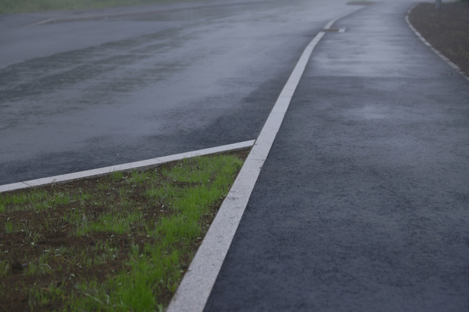 На улице Савченко в Петропавловске-Камчатском высадят рябины. Фото: Олеся Сурина, kamgov.ru. Фотография 3