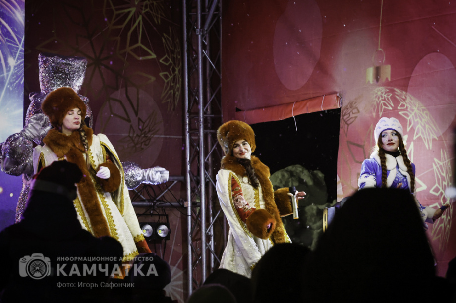 Новогодняя ночь в Петропавловске-Камчатском (фоторепортаж). . Фотография 71