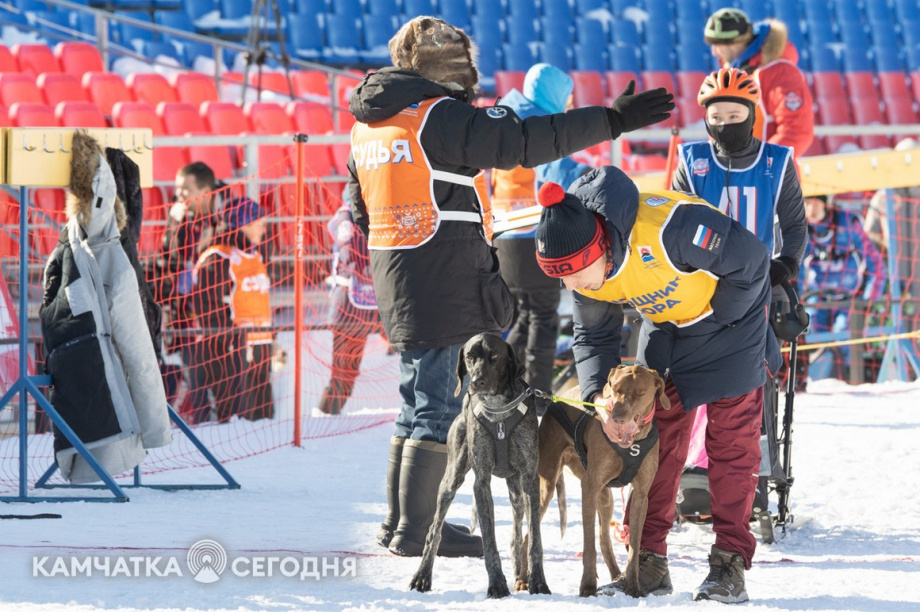 Детская гонка «Дюлин». Фоторепортаж. фото: Артем Безотечество. Фотография 30