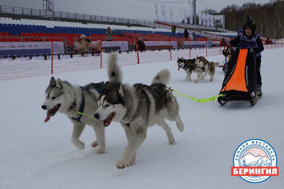 «Дюлин-2021». Фото: Виктор Гуменюк. Фотография 113