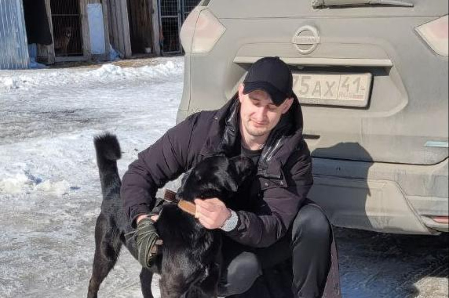 Очередной хвостатый забияка из собачьего приюта нашел семью на Камчатке. Фото: приют “Под крылом Кутха”. Фотография 1