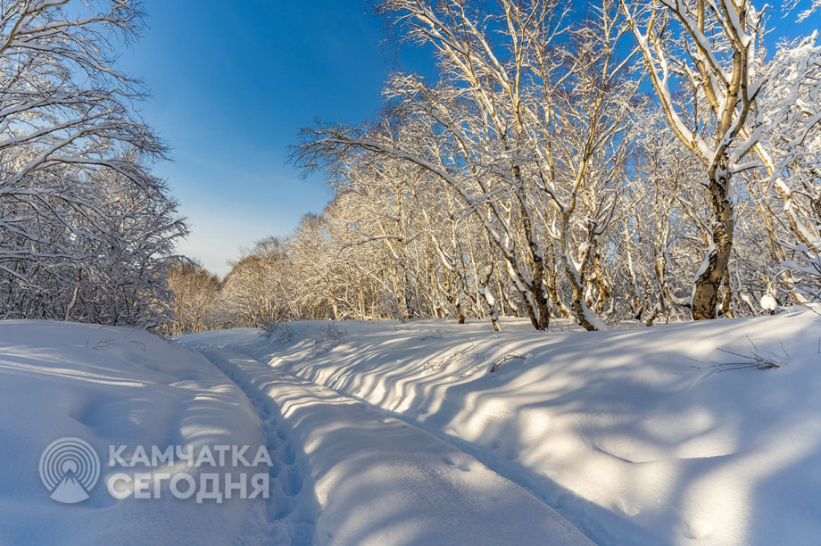 Камчатка застыла в зимнем солнце. Артем Безотечество. Фотография 3