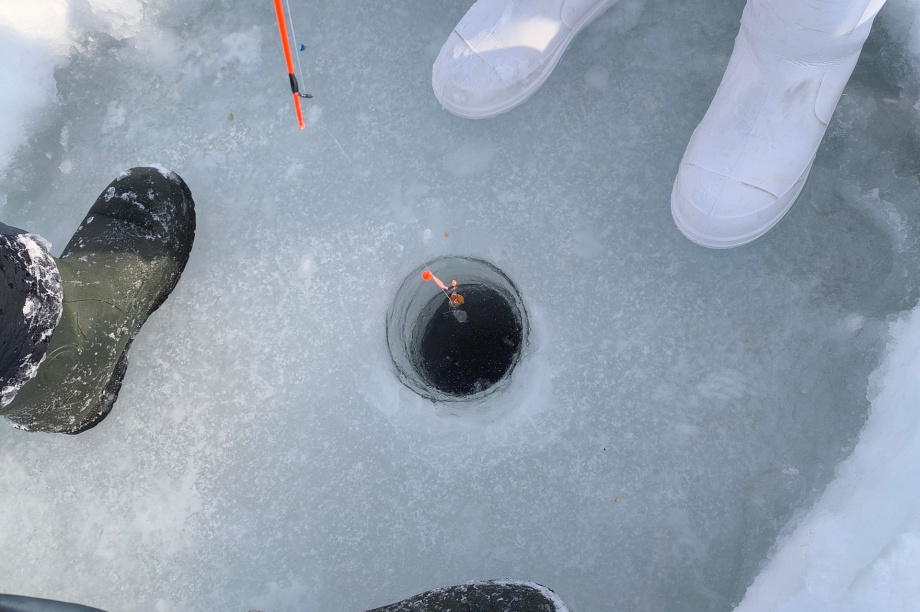 Живую популяцию древнего гольца ученые Камчатки нашли в ледниковом озере. Фото: сеть природных парков "Вулканы Камчтки". Фотография 5