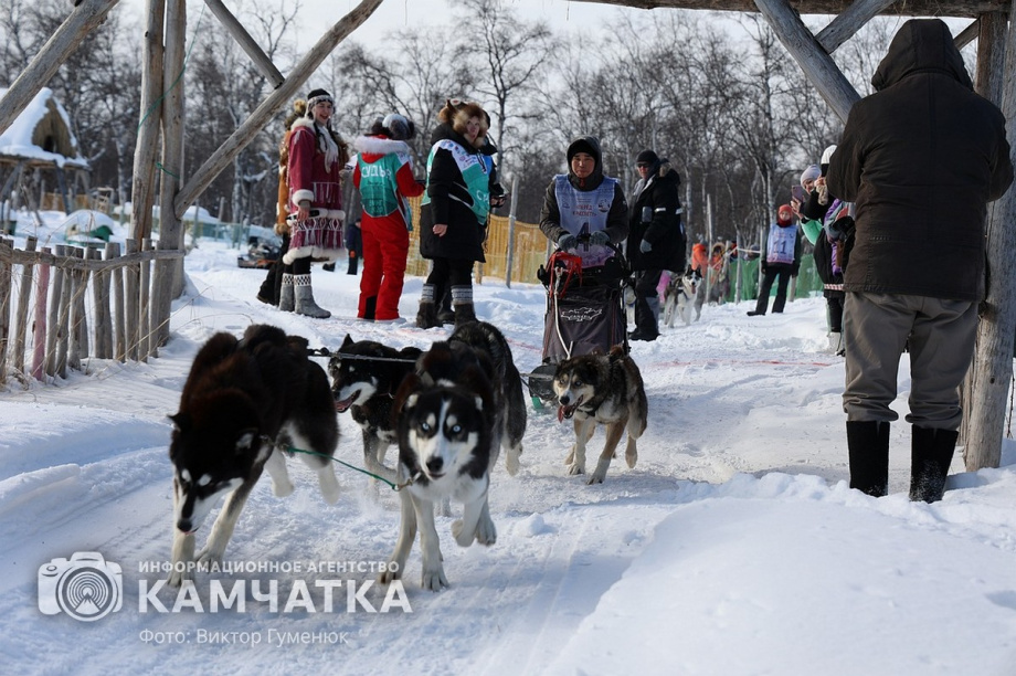 Гонка на собачьих упряжках «Хальч Тхсаном». Фоторепортаж  . Фото: Виктор Гуменюк. Фотография 20