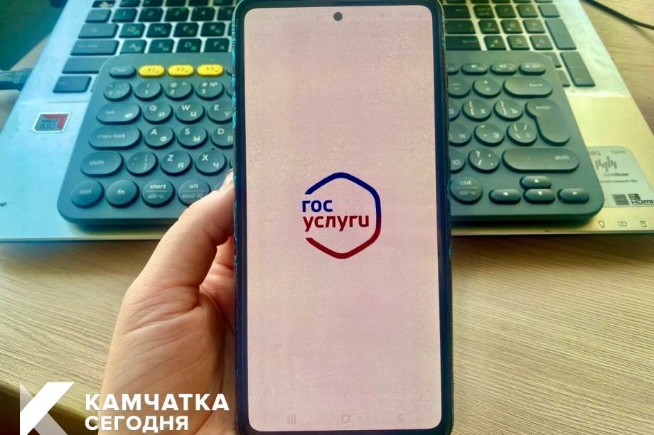 Камчатские участники СВО могут оформить льготы на Госуслугах через QR-код. Фото: ИА "Камчатка"