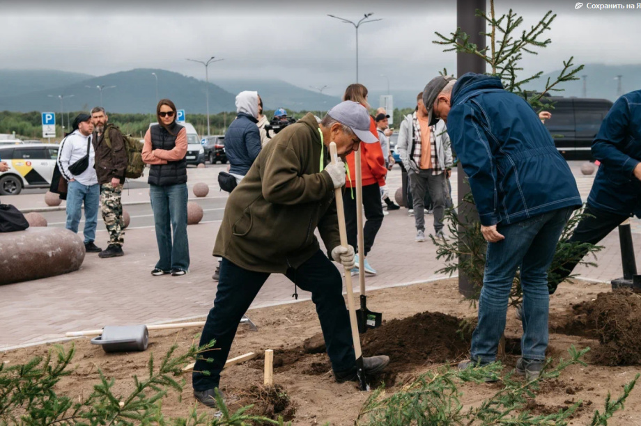 Аэропорт Елизово на Камчатке новая зеленая зона и удобные парковки. Фото: пресс-службы Елизовского аэропорта. Фотография 4