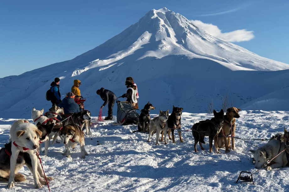 Камчатские каюры приняли участие в съемках художественного фильма «Снежная восьмерка». Фото: Министерство культуры Камчатского края. Фотография 10