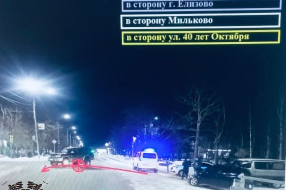 В ДТП на Камчатке пострадала 10-летняя девочка. Фото: Госавтоинспекция Камчатского края