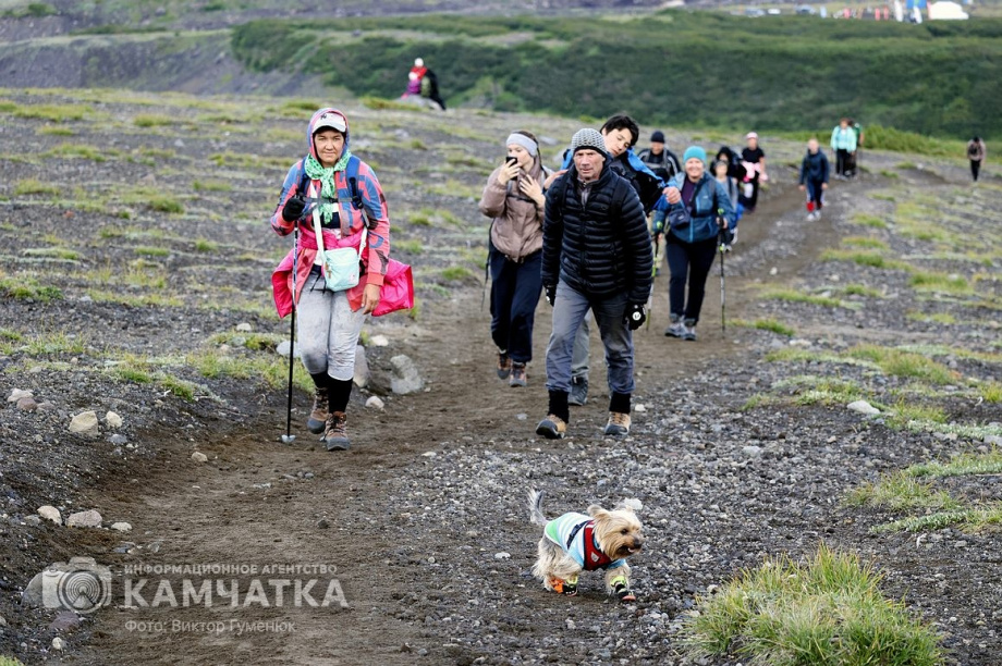 День вулкана на Камчатке собрал почти 2000 восходителей. фото: Виктор Гуменюк. Фотография 50