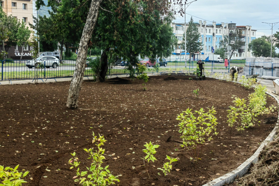 Строительство сквера на Войцешека в Петропавловске проинспектировала комиссия. Фото: Евгения Медведева. Фотография 10