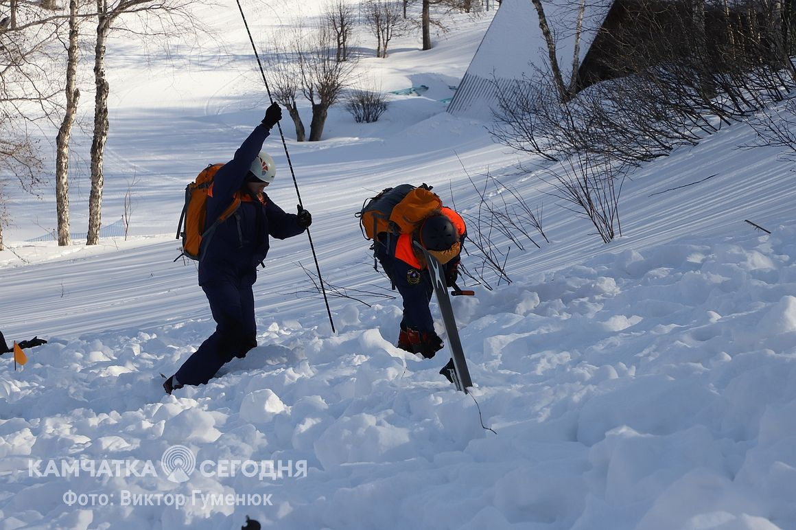 Тренировка по поиску людей в лавинах на Камчатке. Фоторепортаж. Фото: Виктор Гуменюк/ИА "Камчатка". Фотография 55