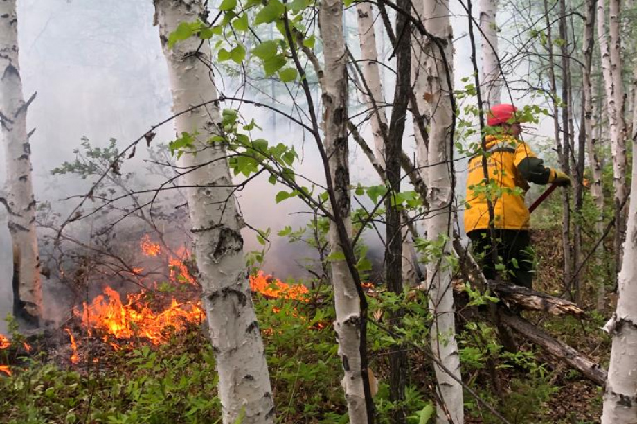  На Камчатке лесные пожары прошли за выходные почти 50 га. Фото: kamgov.ru. Фотография 12