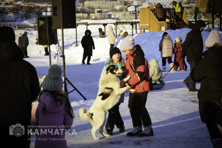 В Петропавловске-Камчатском продолжаются новогодние развлечения (фоторепортаж). Фото: «Камчатка Сегодня» \ Игорь Сафончик. Фотография 44