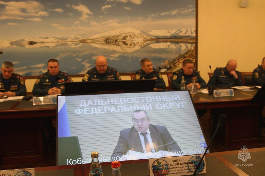 Как спасали людей и боролись с природными катаклизмами в ДФО. Фото: МЧС РФ по Камчатскому краю  . Фотография 5