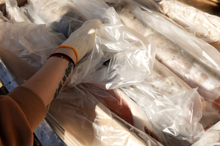 30 тонн рыбы для нуждающихся от администрации Усть-Камчатска и рыбаков. Фото организаторов