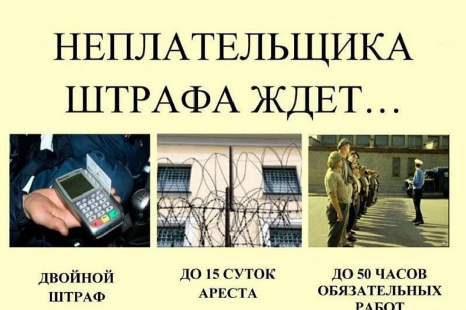 270 камчатских автомобилистов могут «загреметь» на 15 суток за неуплату штрафов. Фото: Госавтоинспекция Камчатского края