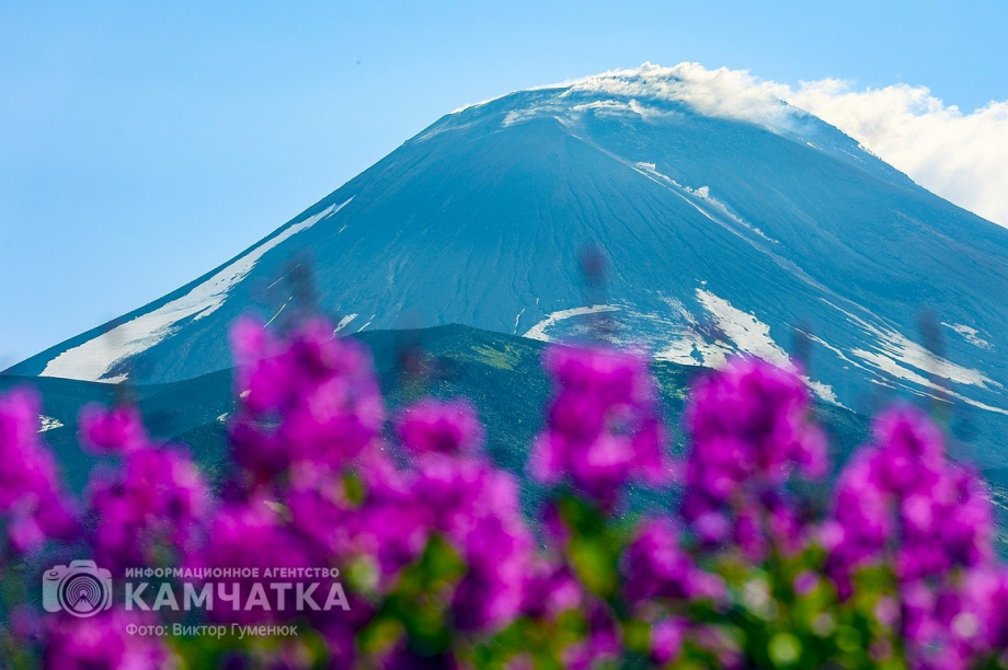 День вулкана на Камчатке собрал почти 2000 восходителей. фото: Виктор Гуменюк. Фотография 71