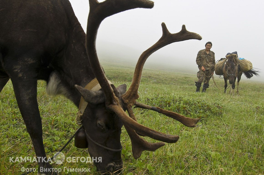 День рождения села Анавгай на Камчатке. Фотоподборка. Фото: архив/Виктор Гуменюк. Фотография 96