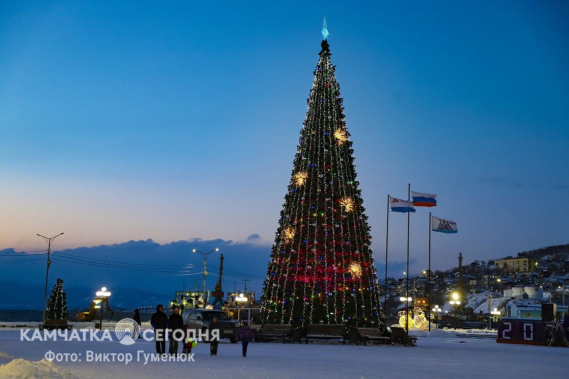 Новогодние огни зажгли на главной елке Камчатки. Фоторепортаж. Фото: Виктор Гуменюк. Фотография 5