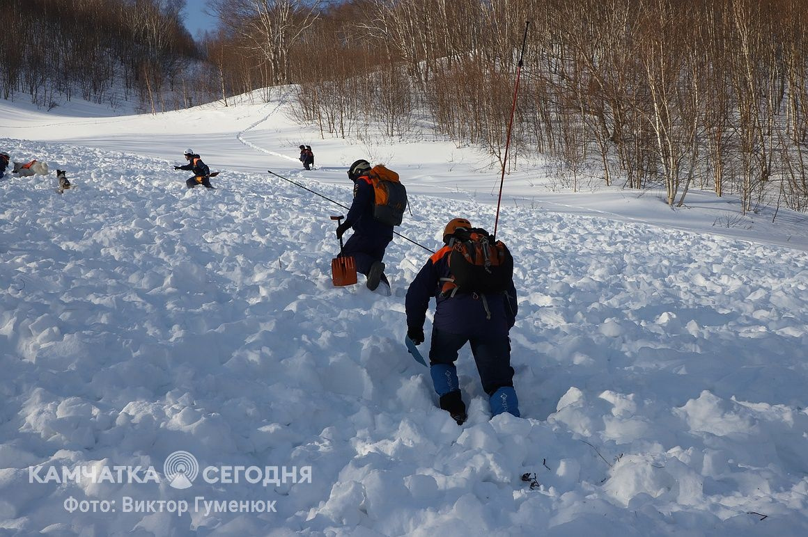 Тренировка по поиску людей в лавинах на Камчатке. Фоторепортаж. Фото: Виктор Гуменюк/ИА "Камчатка". Фотография 46