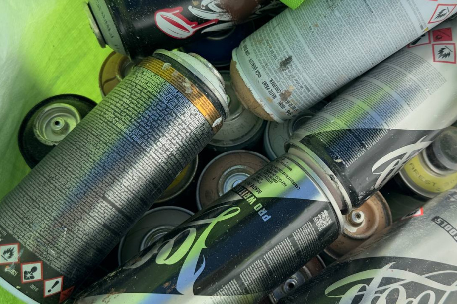 Мурал о подвиге Петропавловского гарнизона украсил столицу Камчатки. Фото: Олеся Сурина, pkgo.ru. Фотография 6