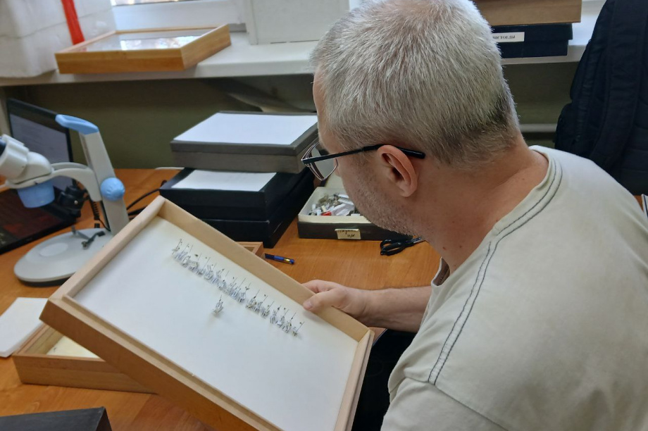 Научные исследования заповедников «Кроноцкий» и «Заповедная Мордовия»: сотрудничество на благо природы. Фото: пресс-служба «Кроноцкий государственный заповедник». Фотография 3