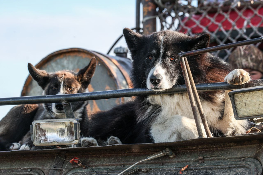 Экспедиция в на север Камчатки — уникальные впечатления и открытия Анатолия Чернявского. Фото: Анатолий Чернявский. Фотография 6