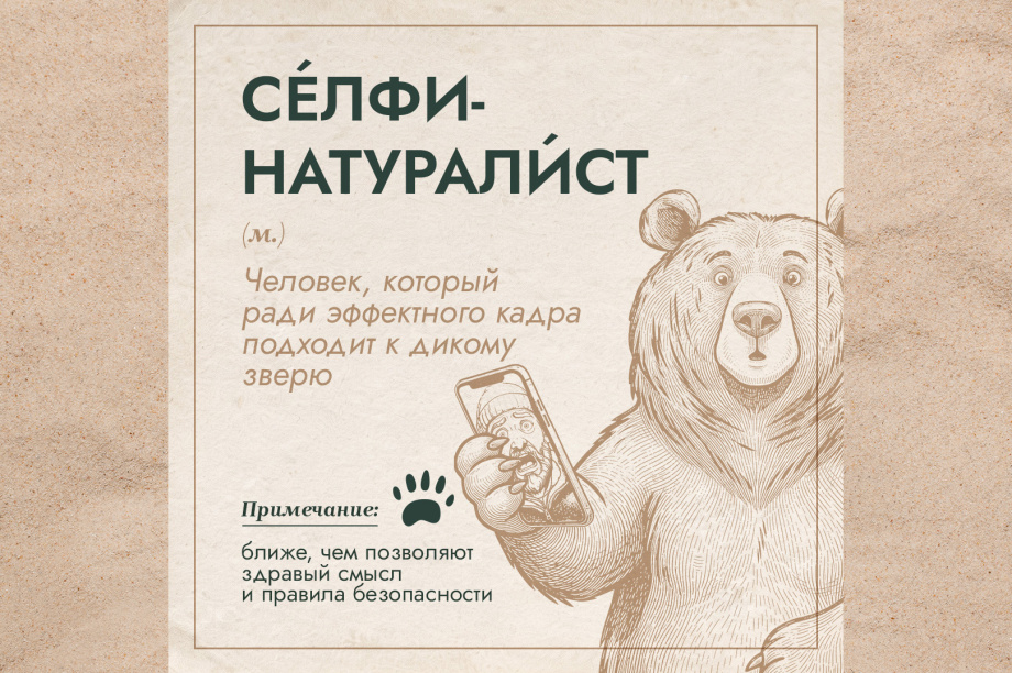 Проект «Земля медведя» выпустил толковый словарь медвежьих терминов. . Фотография 7