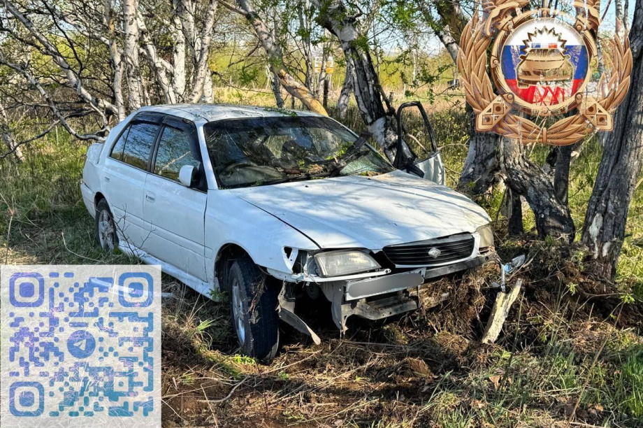 Камчатская автоледи в пьяном сне устроила ДТП на Мильковской трассе . Фото: Госавтоинспекция Камчатского края. Фотография 1