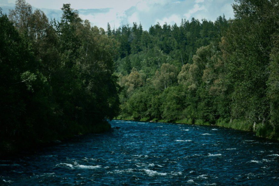Камчатцев приглашают на премьеру фильма о коренных народах. Скрин изображений из фильма. Фотография 4