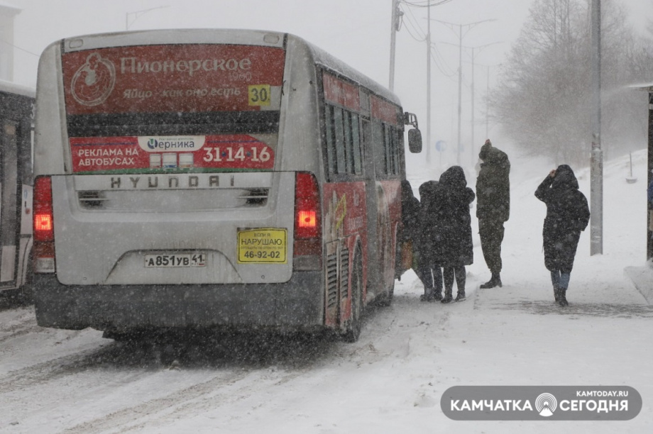 Заснеженный Петропавловск: фоторепортаж Виктора Гуменюка. Фото: Виктор Гуменюк. Фотография 11