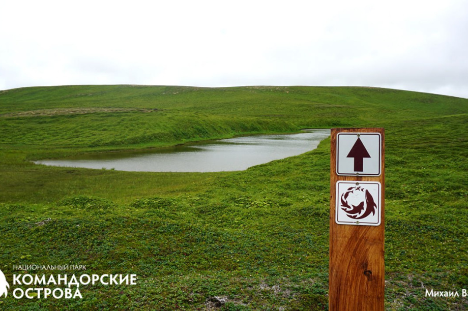 Командорские острова готовятся к наплыву туристов. Фото: Национальный парк "Командорские острова". Фотография 4