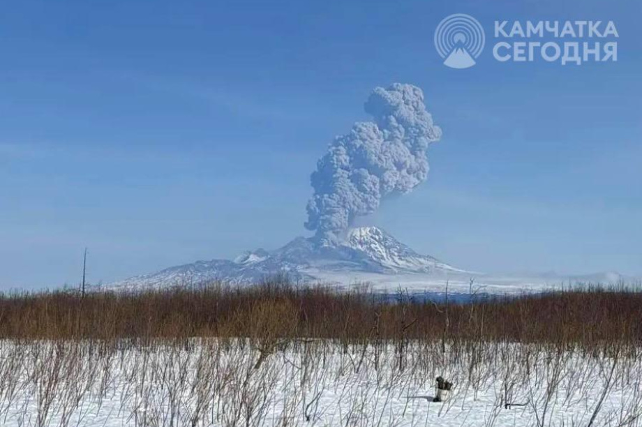 Два мощных выброса за день: Шивелуч на Камчатке выбросил пепел на 12 и 11,5 километра. Фото: ИА "Камчатка"