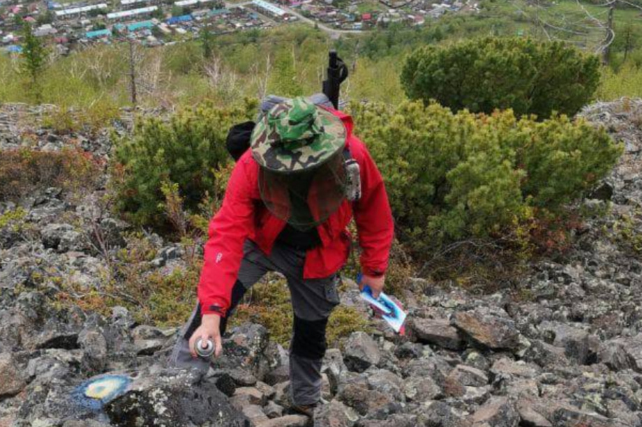 В поход на сопку Пионерская в окрестностях Эссо! Точно не заблудитесь!. Фото: тг. Вулканы Камчатки. Фотография 2