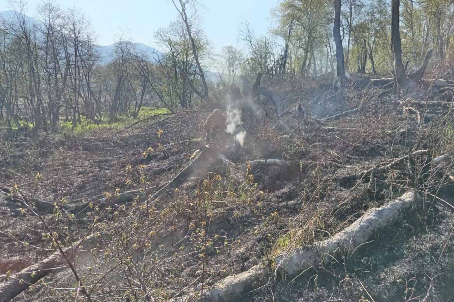 Сегодня на Камчатке леса не горят. 