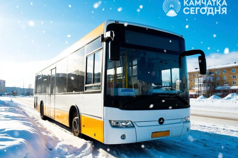 На ярмарку вакансий в столице Камчатки можно будет съездить на бесплатном автобусе. Фото: ИА "Камчатка"